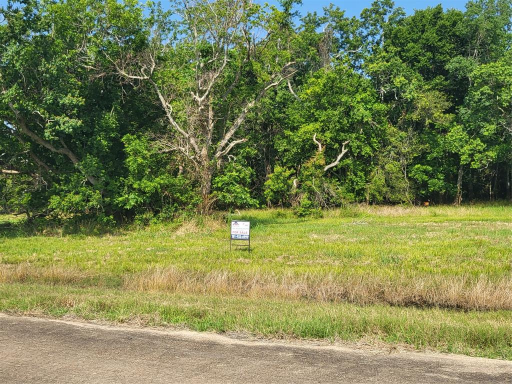 Lot 71 Conestoga Trail, Angleton, Texas image 2