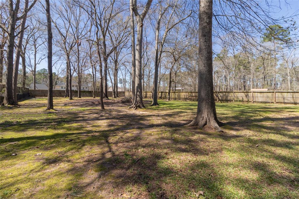 22930 Colorado Drive, Porter, Texas image 30