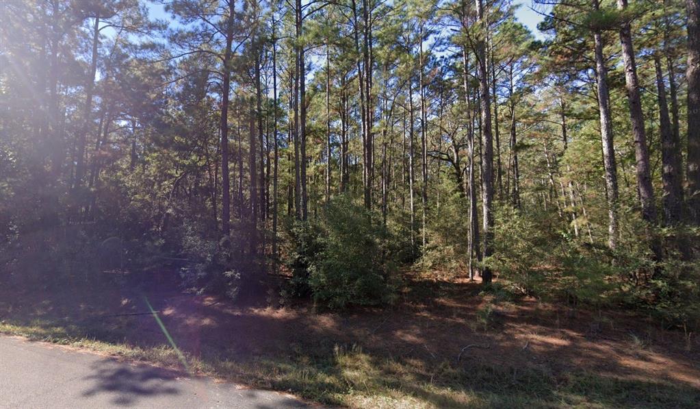 Lot 5 Bergman Drive, Magnolia, Texas image 3