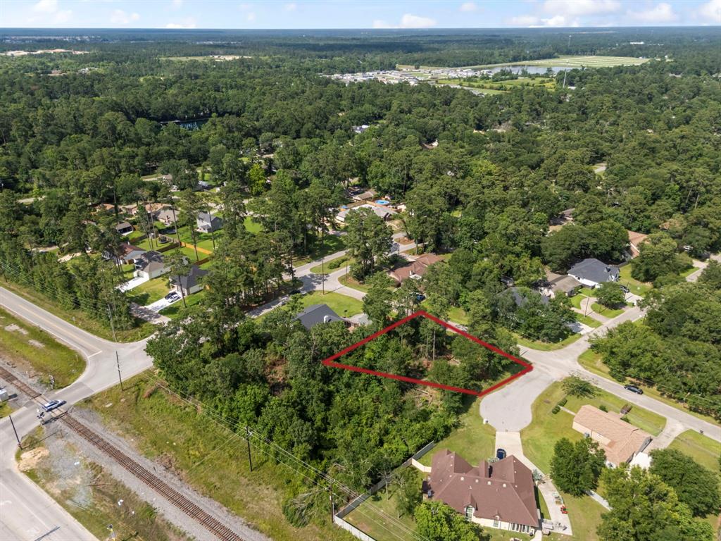 Tallow Drive, Conroe, Texas image 7