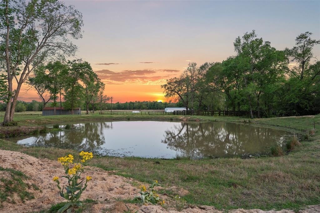 3200 State Highway 75 N