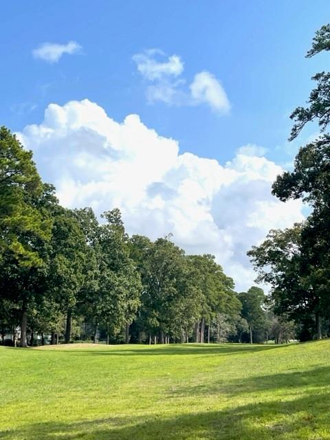 39 Wedgewood Boulevard, Conroe, Texas image 48