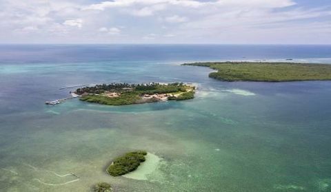 10.67 Acres Island Property - Lower Turneffe   99999