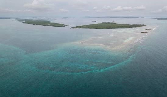 10.67 Acres Island Property - Lower Turneffe