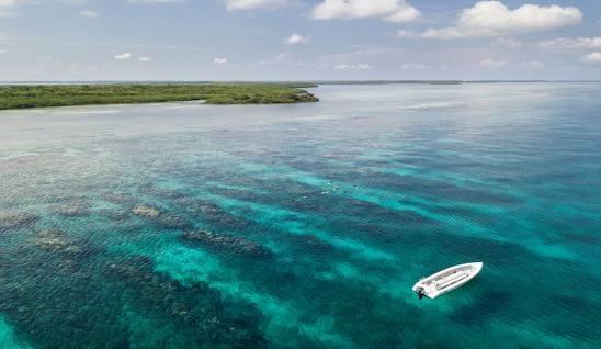 10.67 Acres Island Property - Lower Turneffe