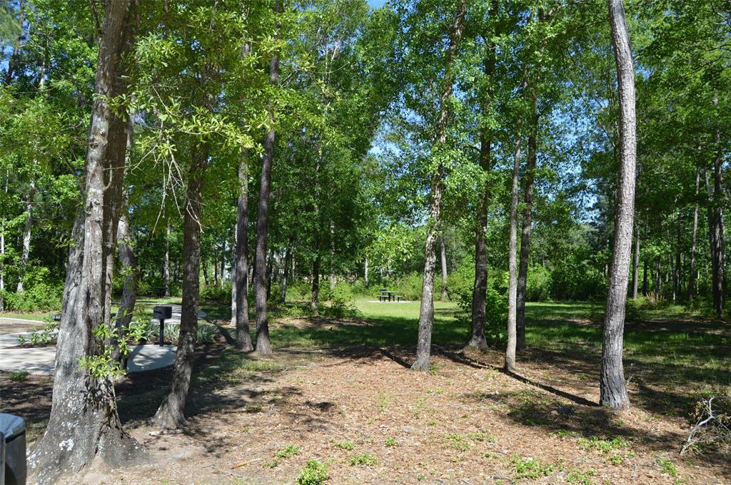 17905 Chestnut Drive, Waller, Texas image 14