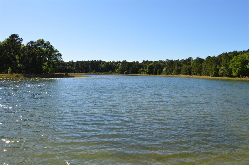 17905 Chestnut Drive, Waller, Texas image 18