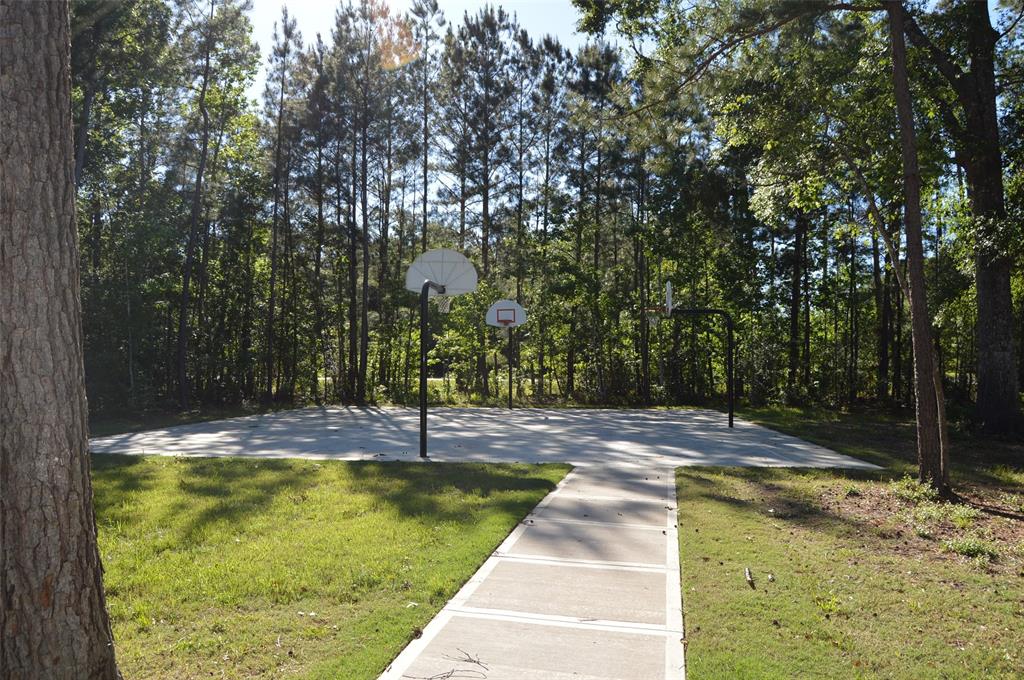 17905 Chestnut Drive, Waller, Texas image 22