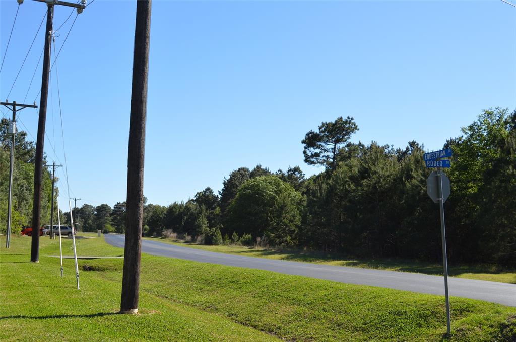 17905 Chestnut Drive, Waller, Texas image 26