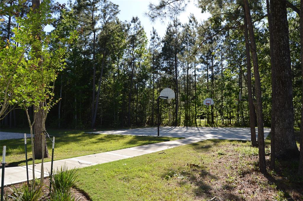 17905 Chestnut Drive, Waller, Texas image 25