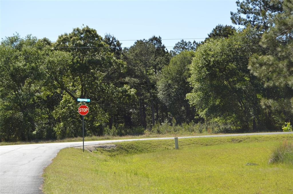17905 Chestnut Drive, Waller, Texas image 28