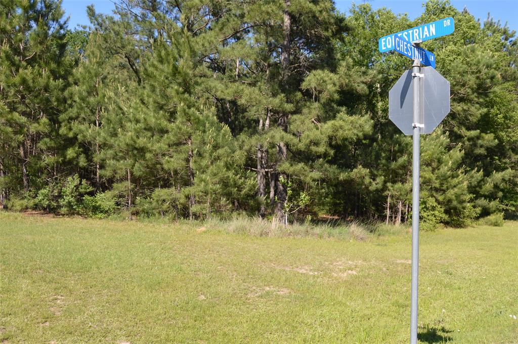 17905 Chestnut Drive, Waller, Texas image 4