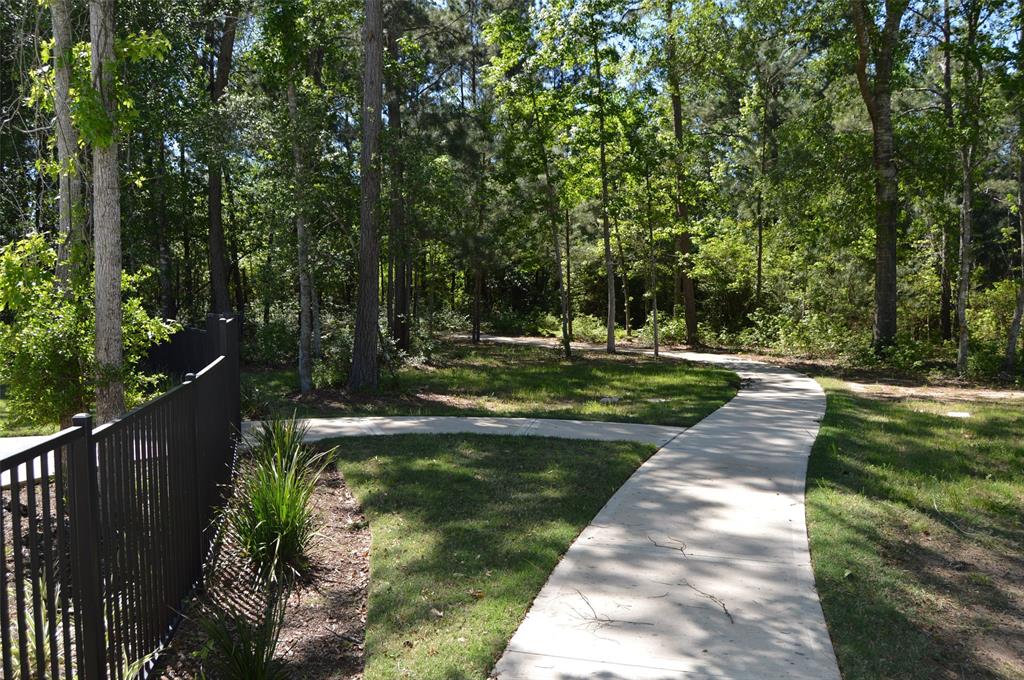 17905 Chestnut Drive, Waller, Texas image 11