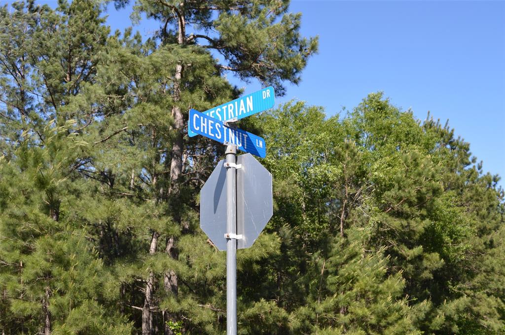 17905 Chestnut Drive, Waller, Texas image 31