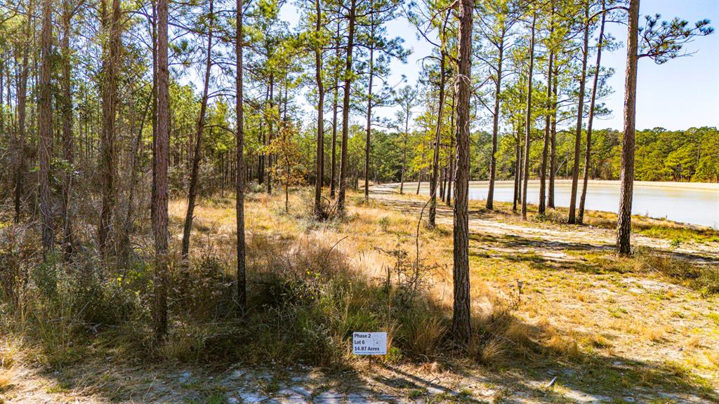 026 King Ranch Rd South Road, Onalaska, Texas image 6