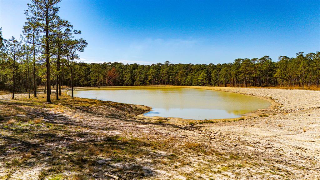 026 King Ranch Rd South Road, Onalaska, Texas image 7