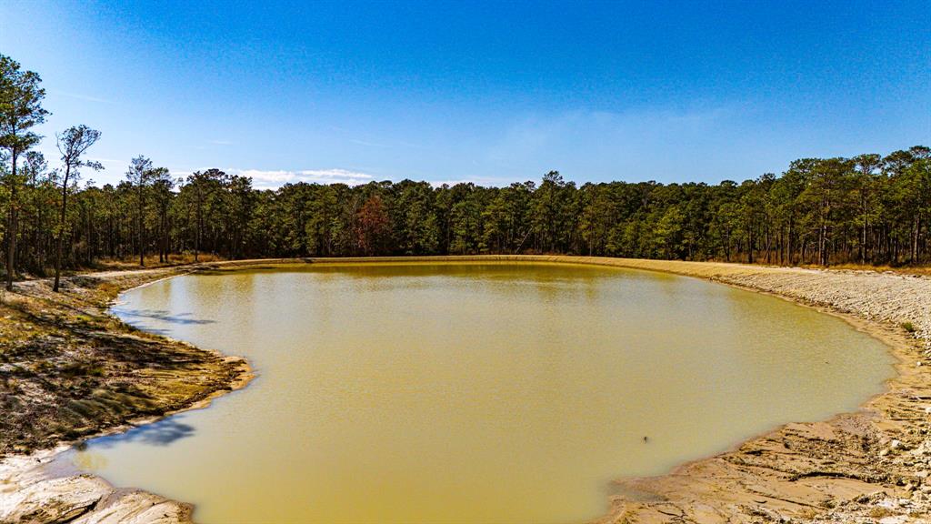 026 King Ranch Rd South Road, Onalaska, Texas image 9