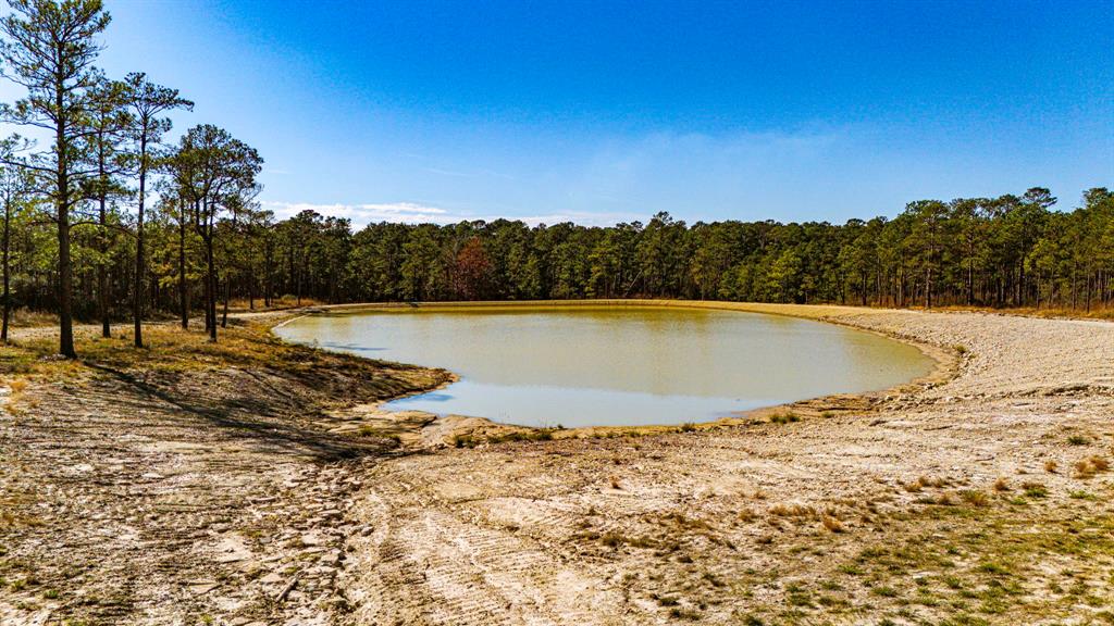 026 King Ranch Rd South Road, Onalaska, Texas image 8