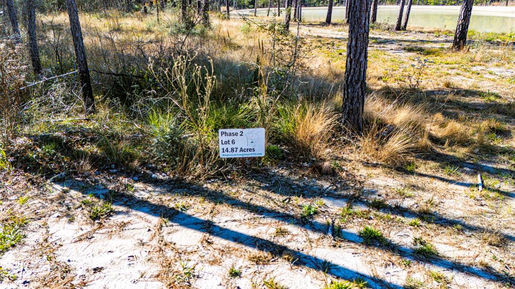 026 King Ranch Rd South Road, Onalaska, Texas image 5