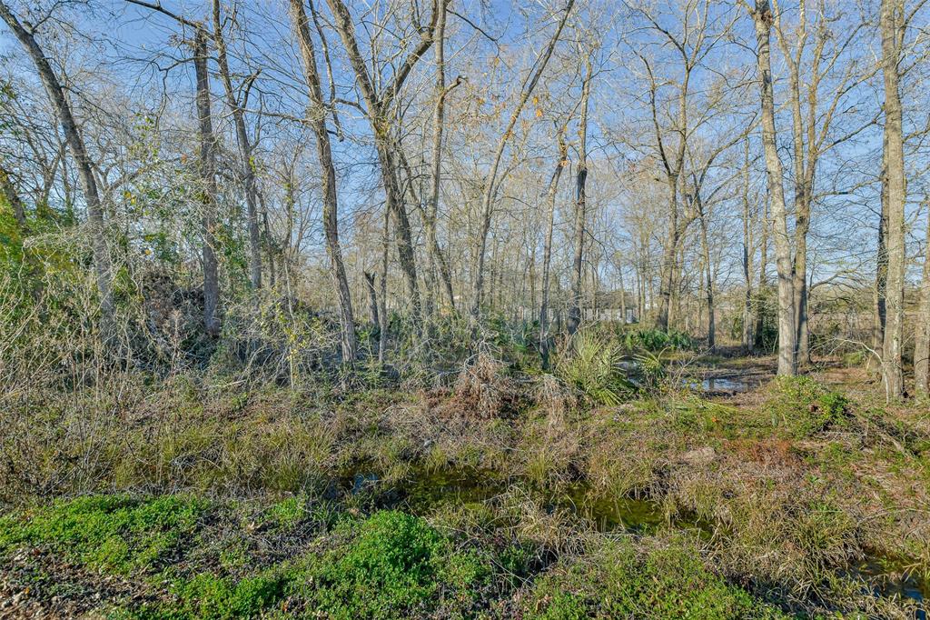 Flower Ridge, Porter, Texas image 11