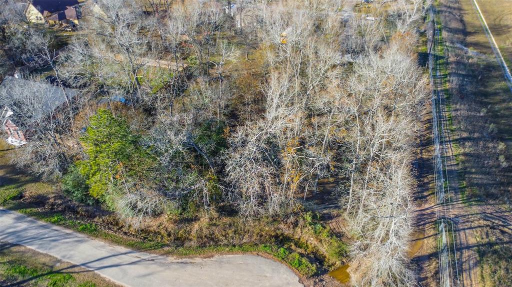 Flower Ridge, Porter, Texas image 2