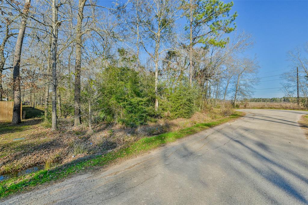 Flower Ridge, Porter, Texas image 10