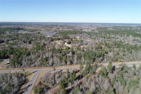 Photo of 317 Iron Horse Road, New Waverly, TX 77358 (MLS # 96177915)