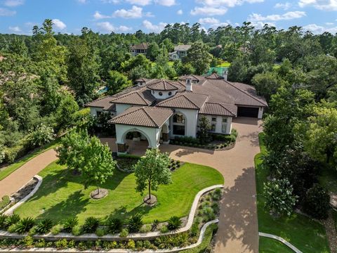 22 N Fazio Way Spring TX 77389
