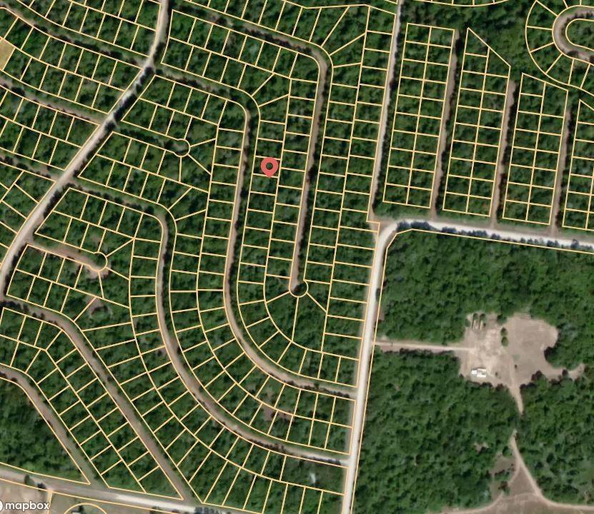 Lot 56 Redbud Lane, Normangee, Texas image 3