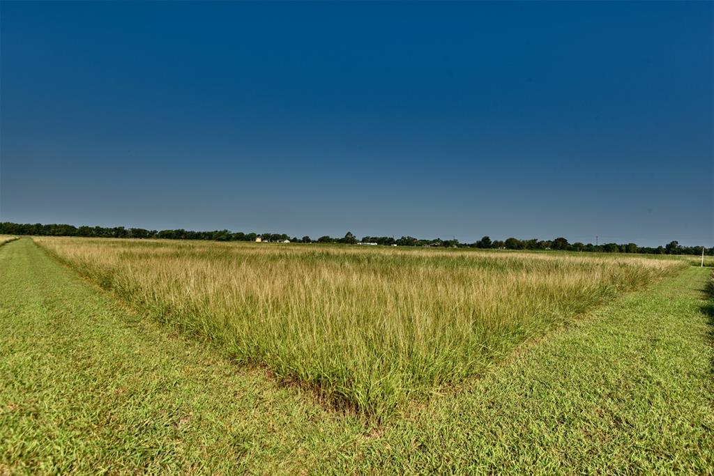 000 Neal Rd Lot 2, Beasley, Texas image 11