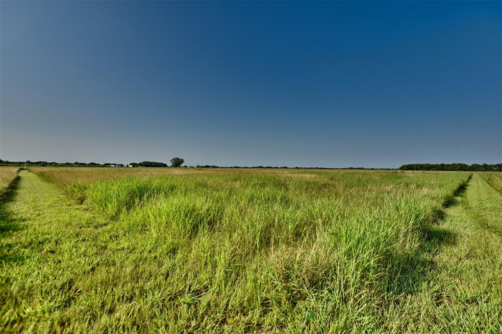 000 Neal Rd Lot 2, Beasley, Texas image 12