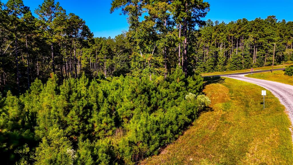 018 Red Hawk Road, Huntsville, Texas image 6