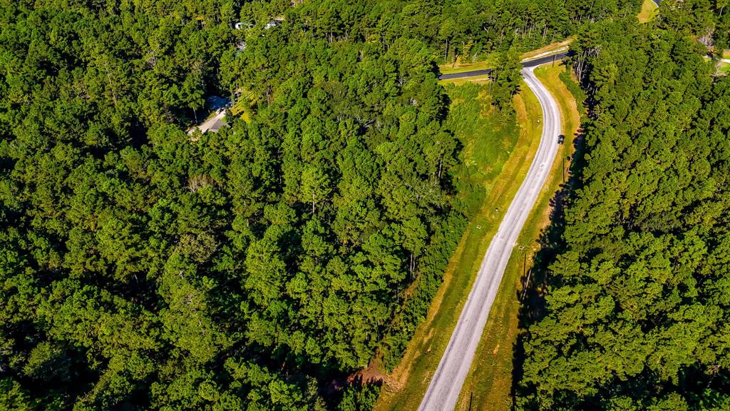 018 Red Hawk Road, Huntsville, Texas image 9