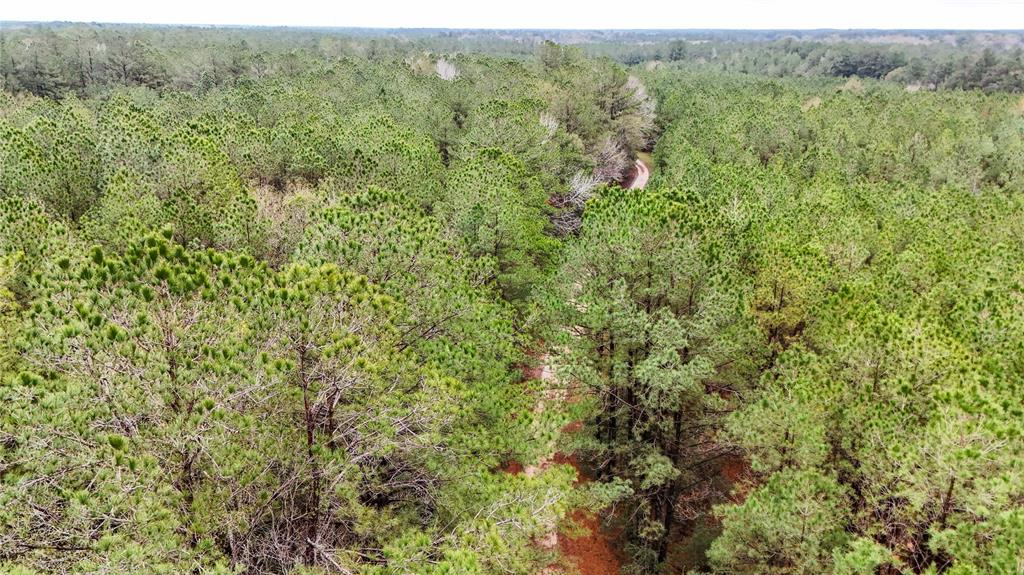 TBD County Road 3064, Kirbyville, Texas image 22