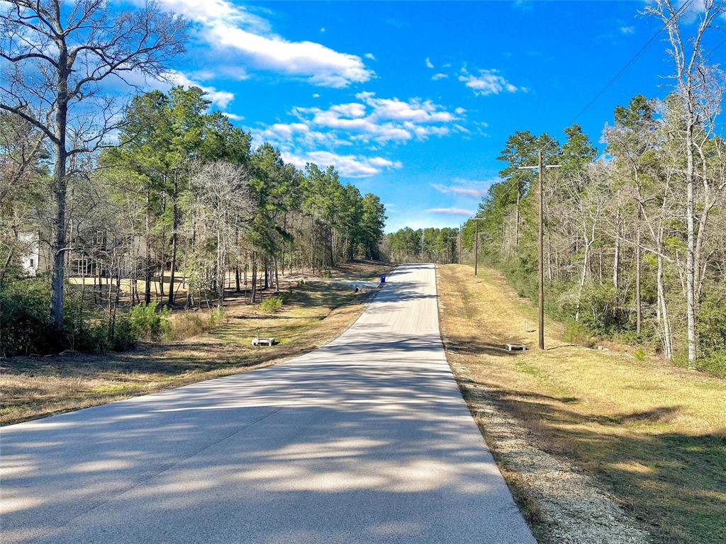 Sky Oak Lane, Huntsville, Texas image 4