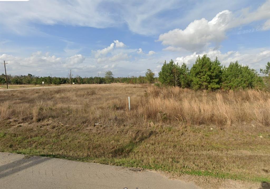 18206 Villamonte Drive, Cleveland, Texas image 1