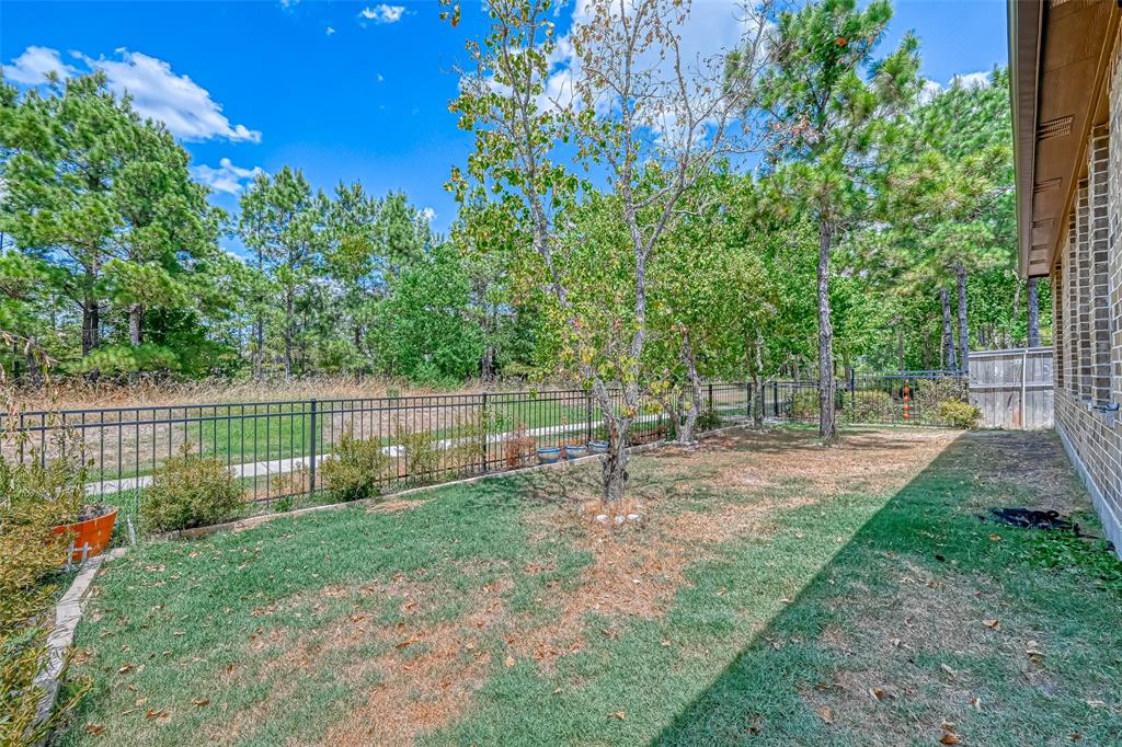10005 Red Beadtree Place, Conroe, Texas image 45