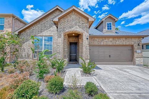 10005 Red Beadtree Place Conroe TX 77385