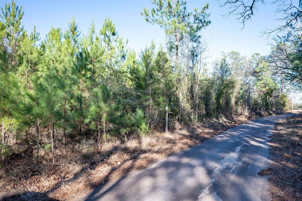 TBD County Road 4494, Hillister, Texas image 12