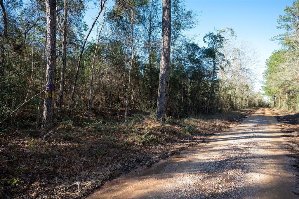 TBD County Road 4494, Hillister, Texas image 13