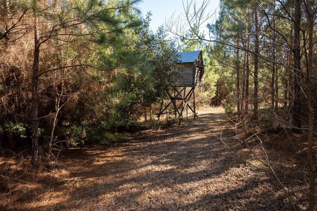 TBD County Road 4494, Hillister, Texas image 3