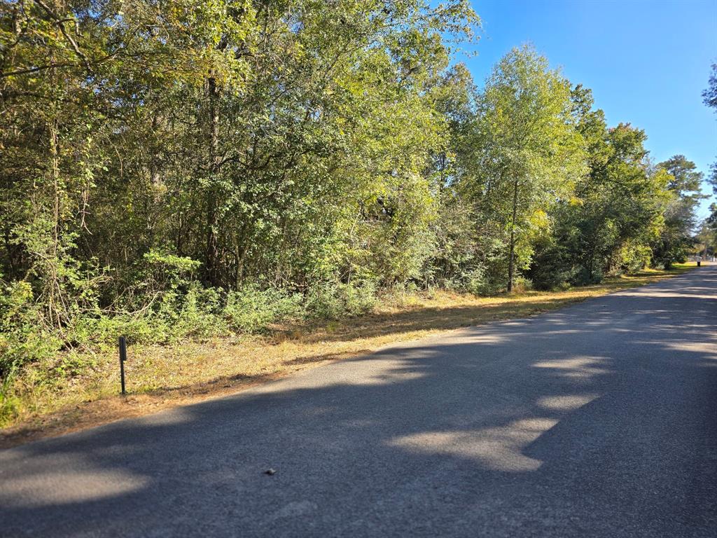 Lot 4 Tepee Trail, Hockley, Texas image 6