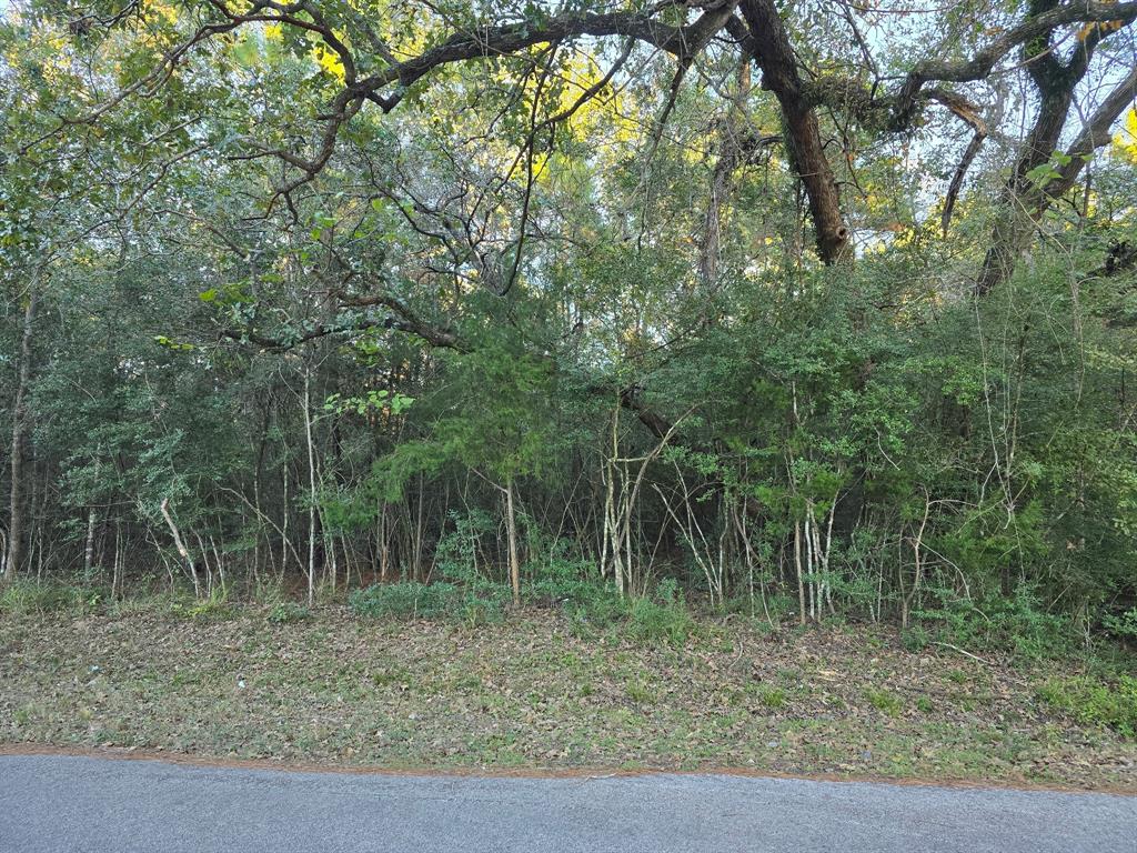 Lot 4 Tepee Trail, Hockley, Texas image 10