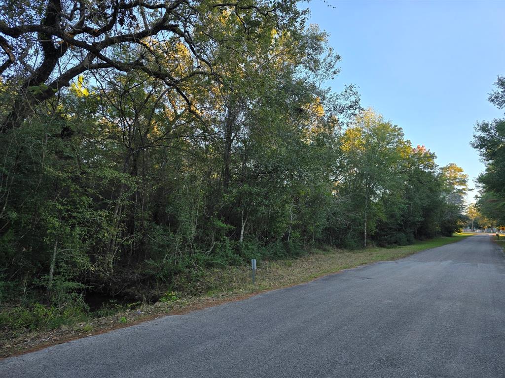 Lot 4 Tepee Trail, Hockley, Texas image 9