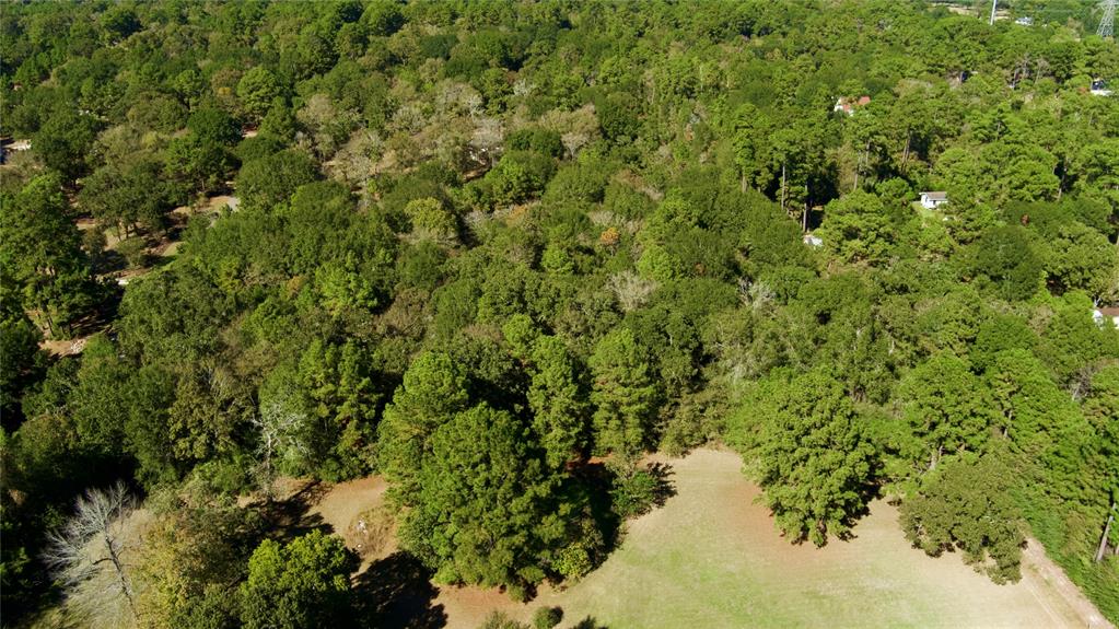 Lot 4 Tepee Trail, Hockley, Texas image 3