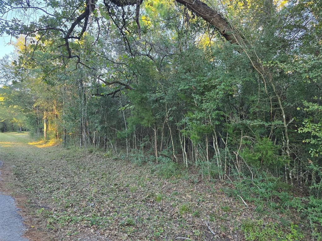 Lot 4 Tepee Trail, Hockley, Texas image 12