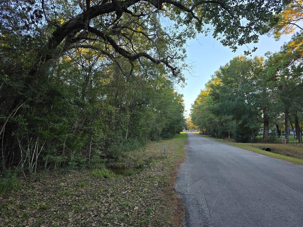 Lot 4 Tepee Trail, Hockley, Texas image 8