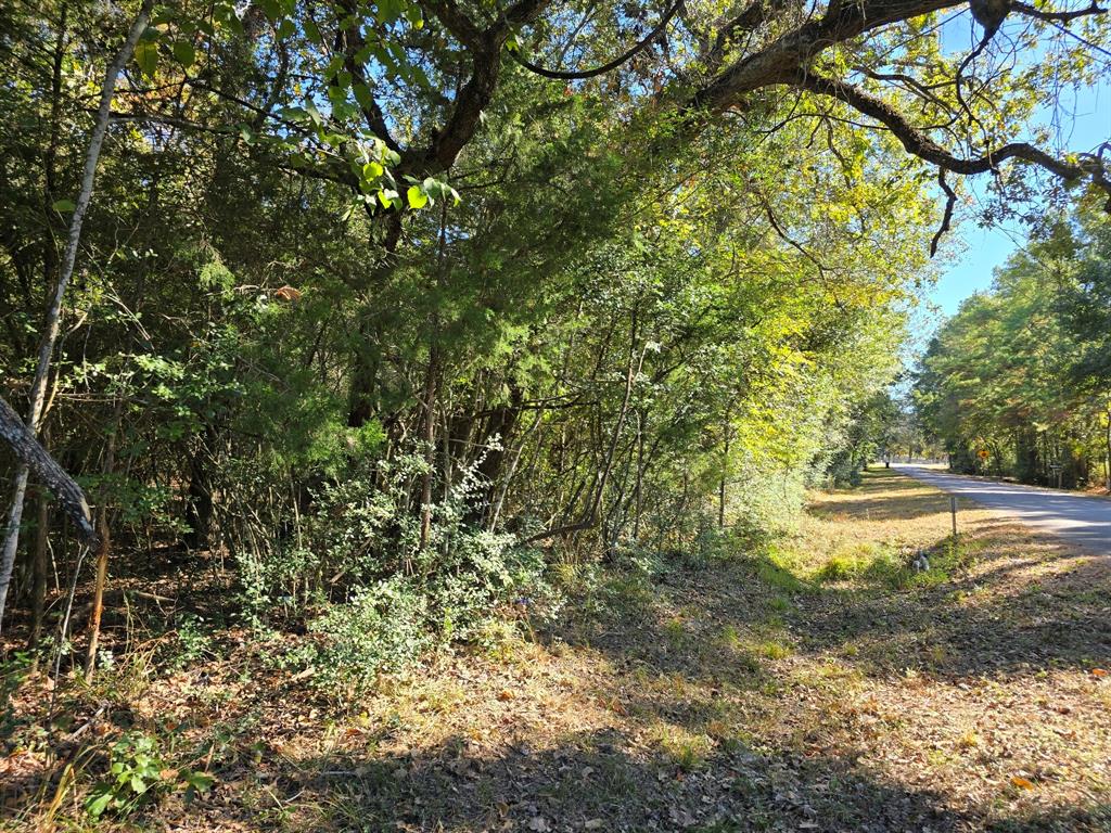 Lot 4 Tepee Trail, Hockley, Texas image 4