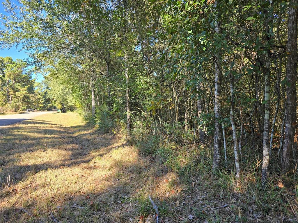 Lot 4 Tepee Trail, Hockley, Texas image 7