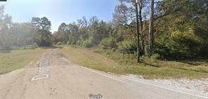 Dipping Lane, New Caney, Texas image 1